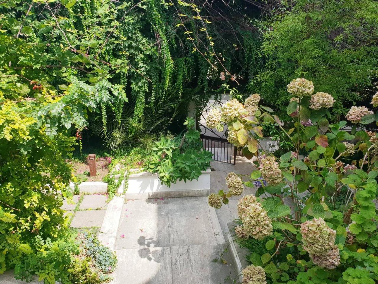 B&B Il Giardino Di Villa Anna Треказе Экстерьер фото