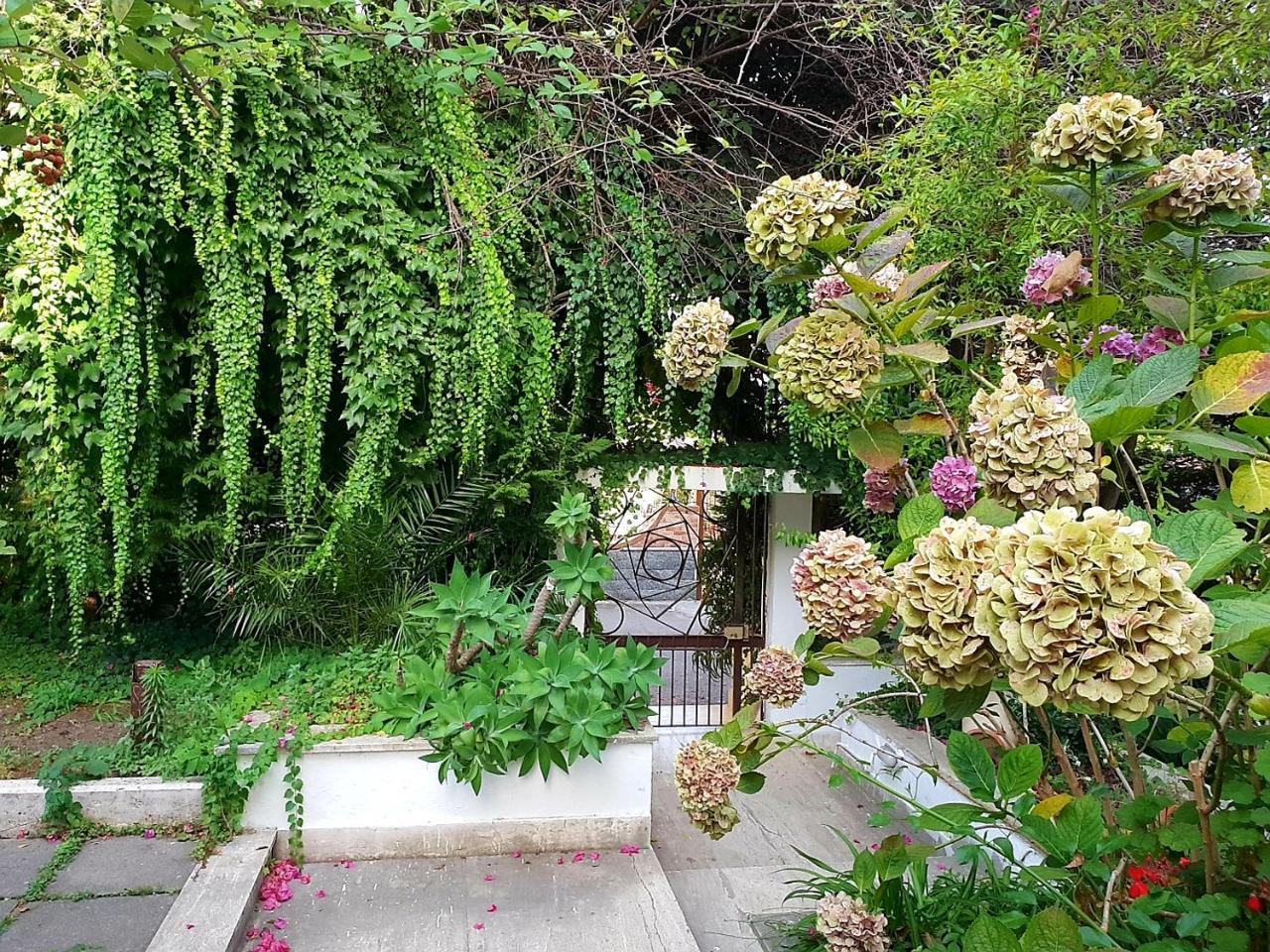 B&B Il Giardino Di Villa Anna Треказе Экстерьер фото