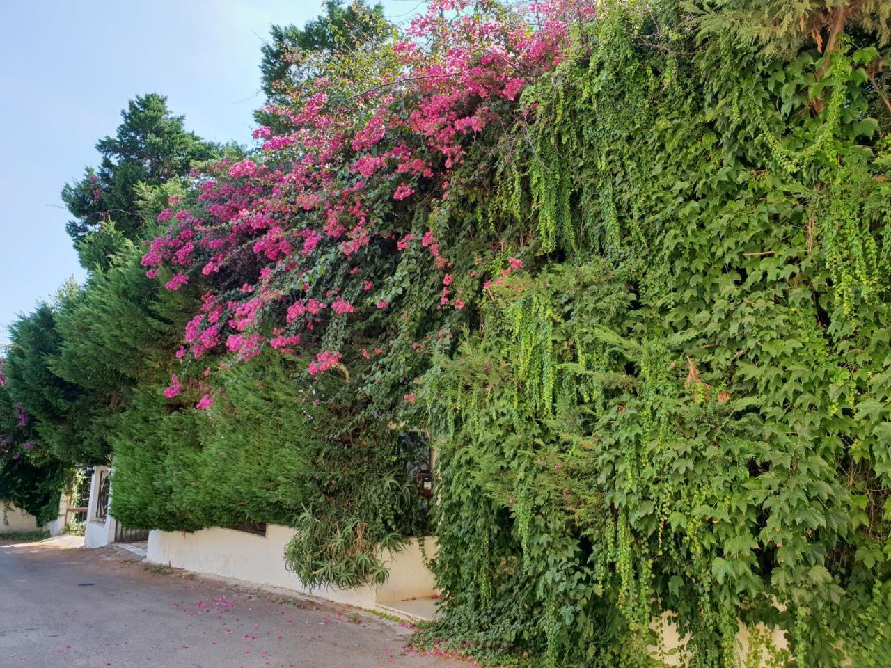 B&B Il Giardino Di Villa Anna Треказе Экстерьер фото